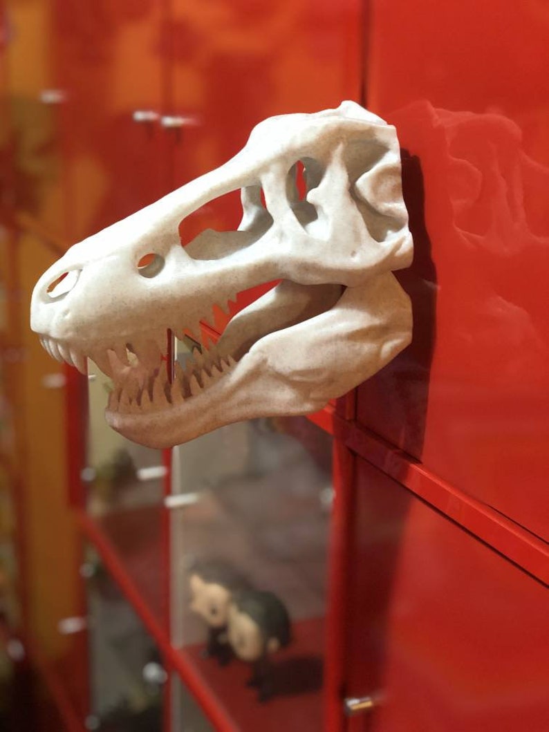 TRex skull wall mount Dinosaur Wall Art Modern 3D Etsy