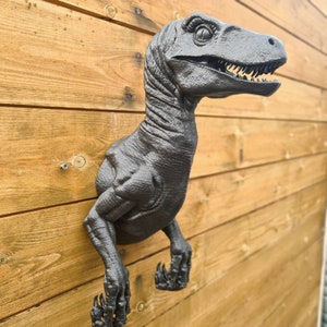 Velociraptor bust Wall Art - Dinosaur - Wall Mount- 3D Printed - Multiple Colours Available