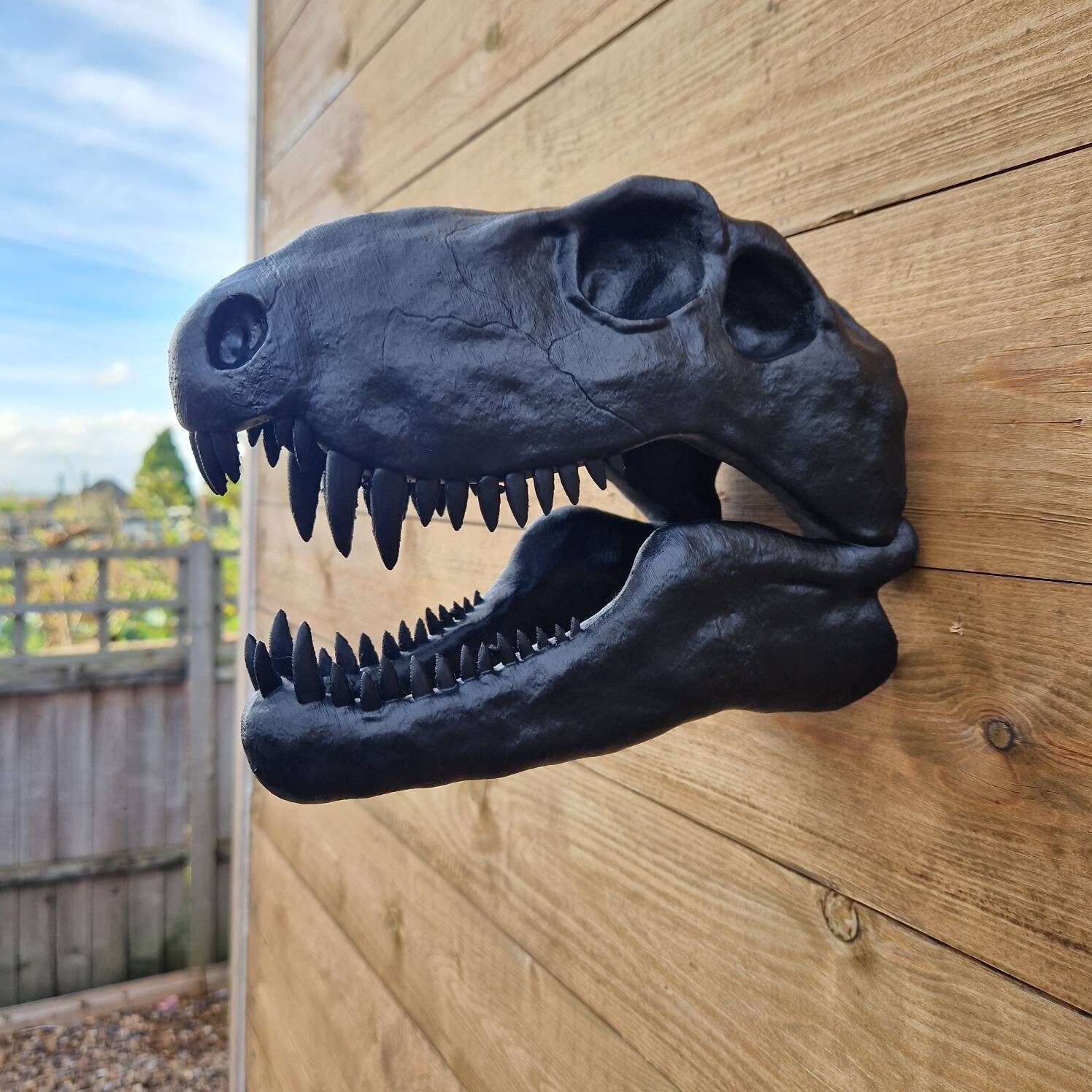 Dimetrodon Skull Art - Dinosaur Wall Mount - 3D Printed - Etsy