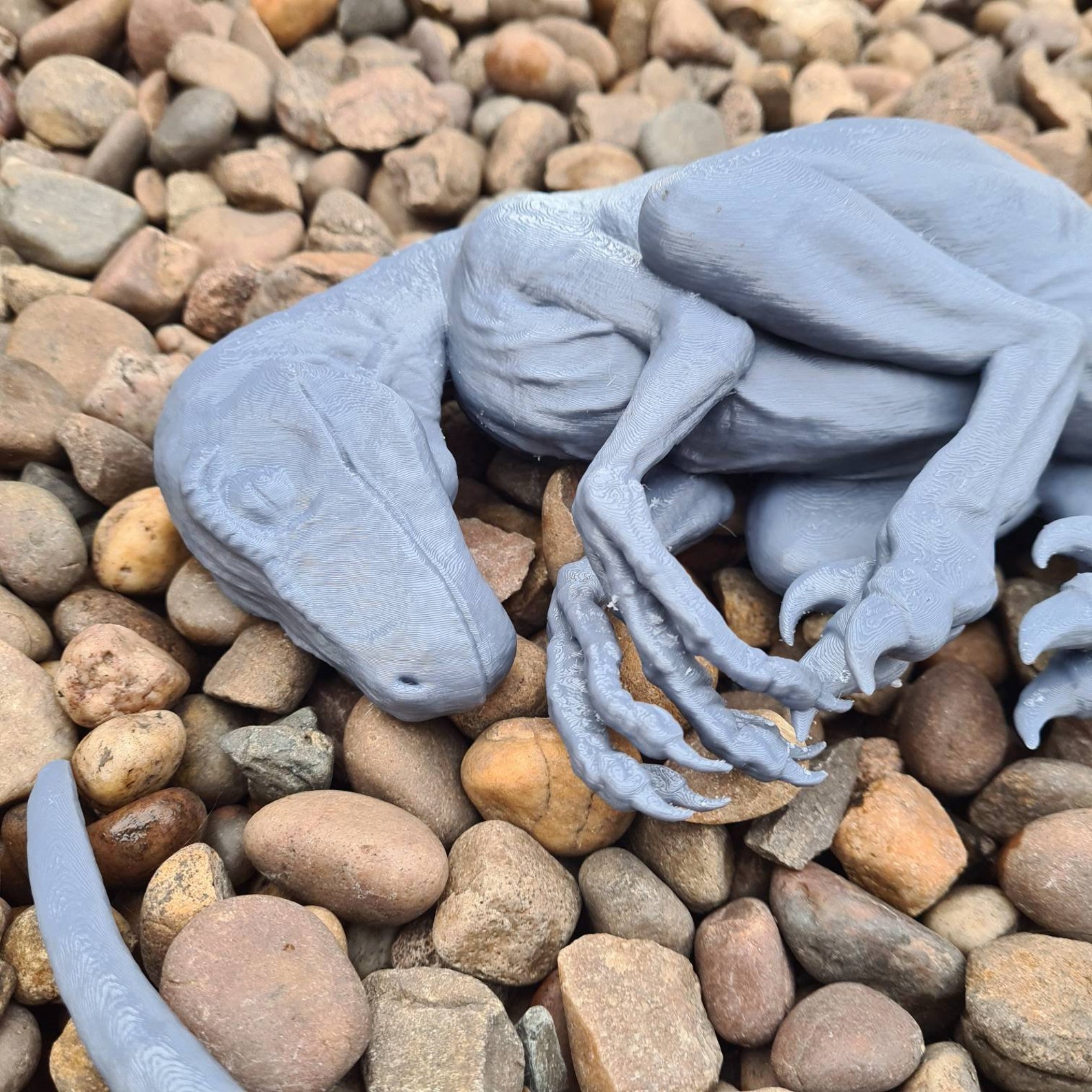 Sleeping Baby Velociraptor Art Dinosaur 3D Printed - Etsy