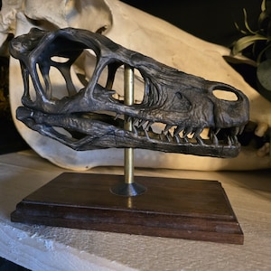 Velociraptor skull art replica - 3D printed - mounted on a wooden plaque with a brass tube - Customisations available