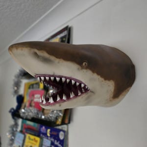 Oceanic whitetip shark - painted, airbrushed and finished - 3D Printed - Home Decor - wall mount