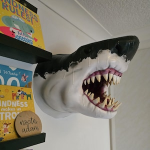 May include: A detailed shark head sculpture, mounted on a wall, with a gaping mouth revealing sharp teeth and a pink interior. The shark has a white body with black detailing. Children's books are visible on a nearby shelf.