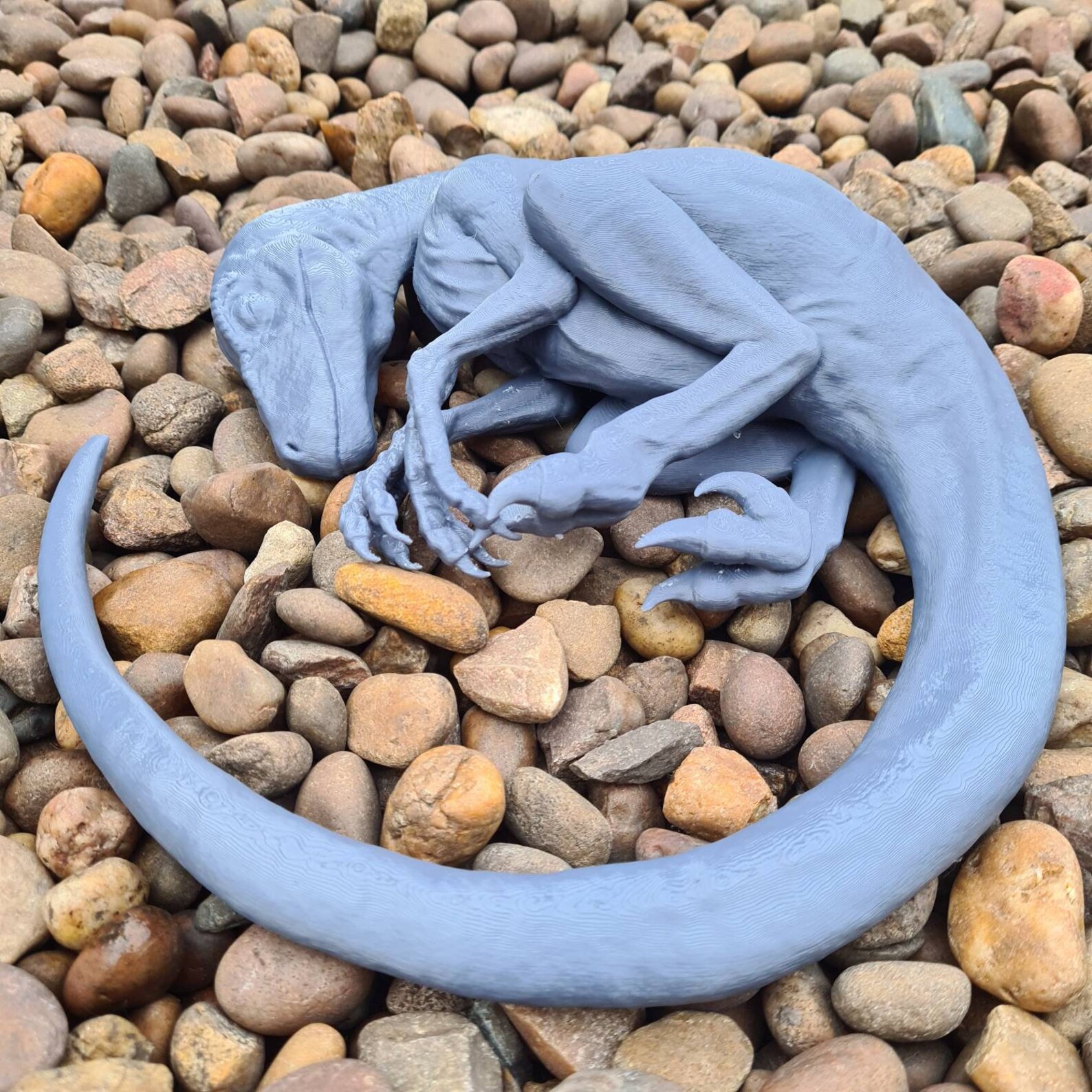 Sleeping Baby Velociraptor Art Dinosaur 3D Printed - Etsy