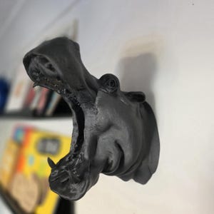 Hippo Wall Art