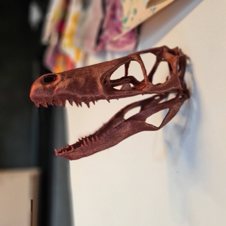 May include: A red-brown plastic dinosaur skull model with a detailed, open-mouthed design. The skull is mounted on a white wall.
