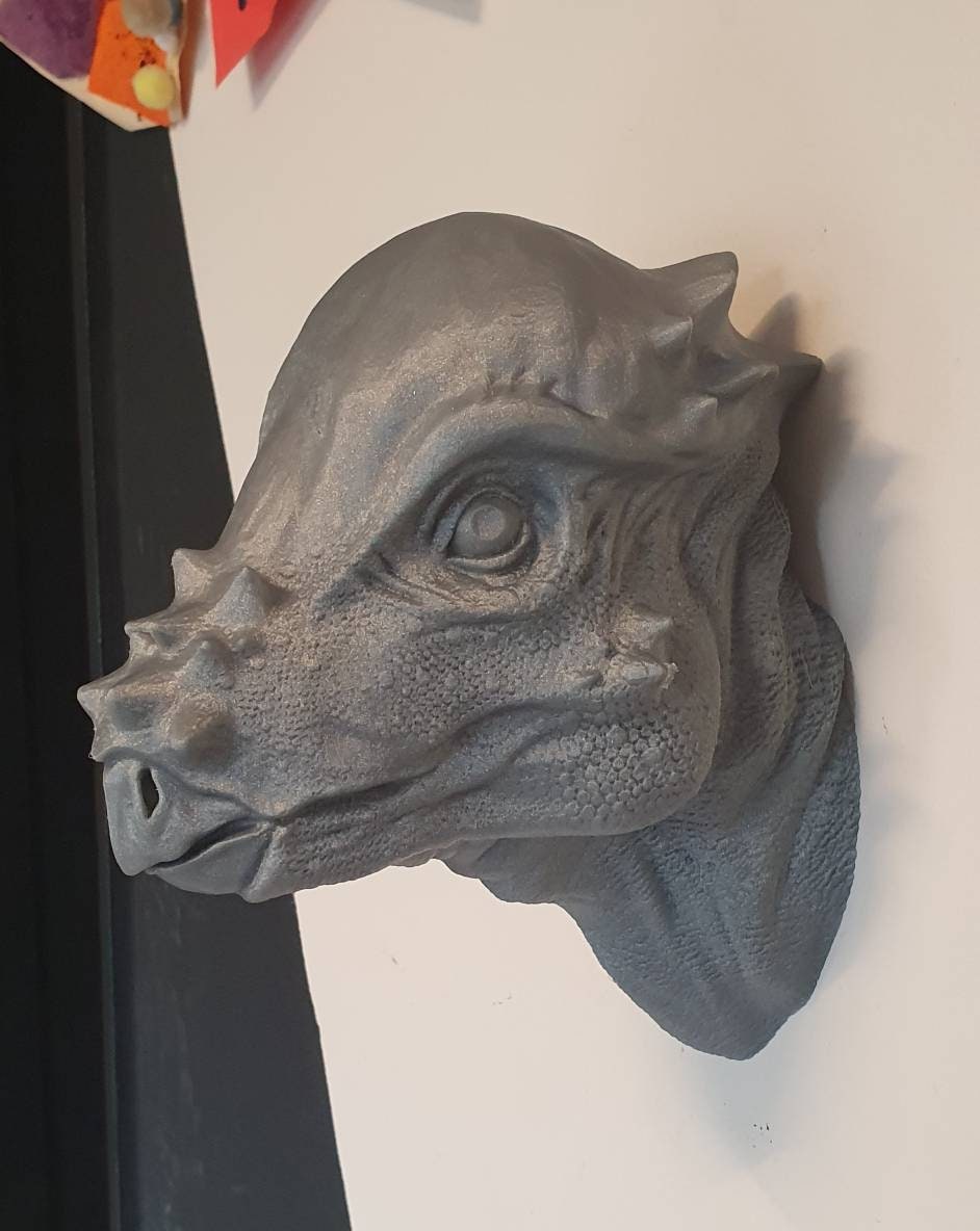 Pachycephalosaurus Wall Art Dinosaur Wall Mount 3d Etsy Pachycephalosaurus Wall Art Dinosaur Wall Mount 3d Etsy