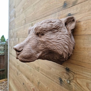 May include: A brown bear head sculpture mounted on a wooden wall. The sculpture is detailed with fur and has a realistic appearance.