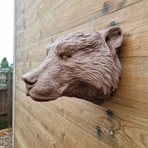 Bear Head Wall Mount Etsy