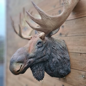 Moose head Wall Art - airbrushed and hand painted - Animal - Wall Mount- 3D Printed - You choose the colours