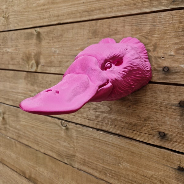 Platypus wall art - Animal Art - 3D Printed - Home Decor - wall mount - Multiple sizes Colours Available