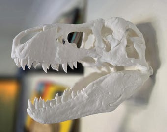 il_340x270.6672883210_ok8x.jpg