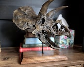 トリケラトプスの頭蓋骨レプリカ - 3Dプリントされた恐竜の化石アート