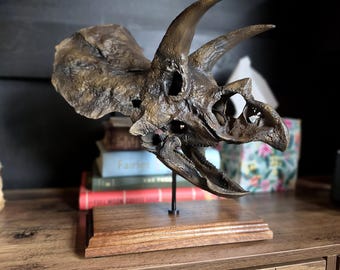トリケラトプスの頭蓋骨レプリカ - 3Dプリントされた恐竜の化石アート