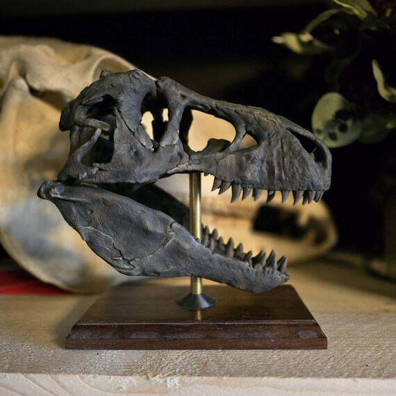 ティラノサウルス・レックスの頭蓋骨レプリカ - 3Dプリントされた恐竜