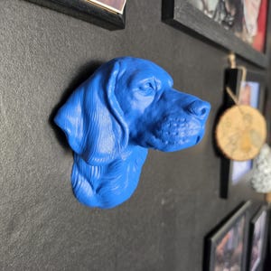 May include: A bright blue, three-dimensional wall-mounted sculpture of a dog head. The sculpture features detailed textures representing fur, floppy ears, and a snout, mounted flush against a dark, textured surface.