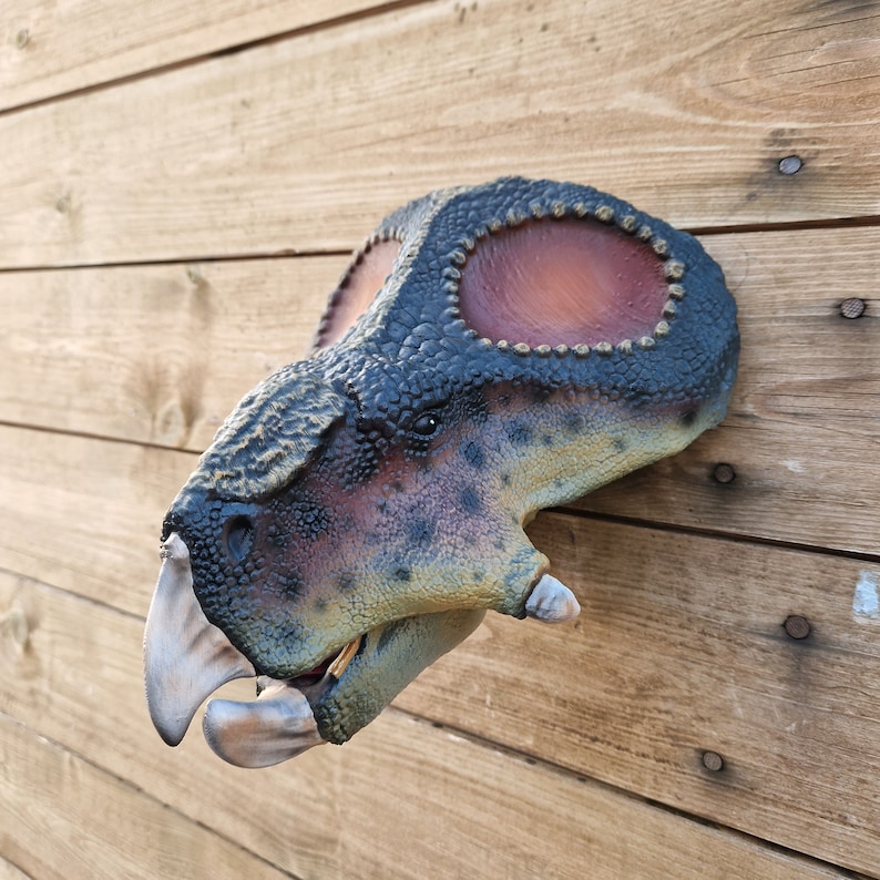 Protoceratops Head painted Dinosaur Wall Art 3D Printed Home Decor Wall mount hand painted Custom colours available image 2