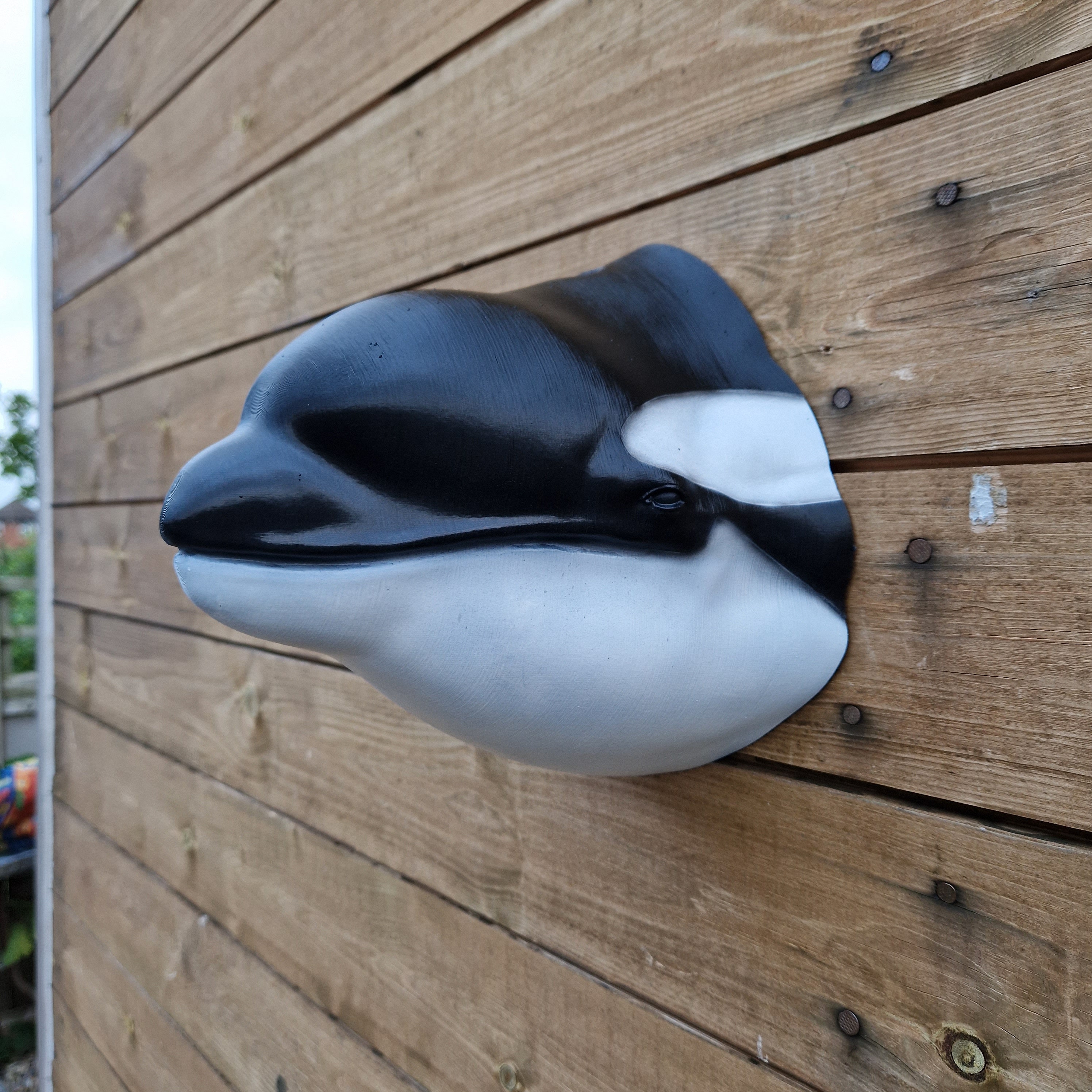 Orca Wall Art - Hand Painted Animal Wall Decor - 3D Printed - Etsy