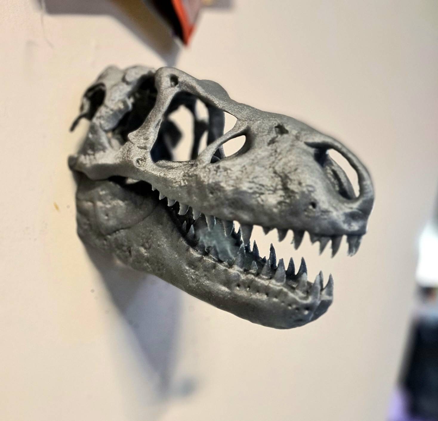 TRex skull wall mount Dinosaur Wall Art Modern 3D Etsy