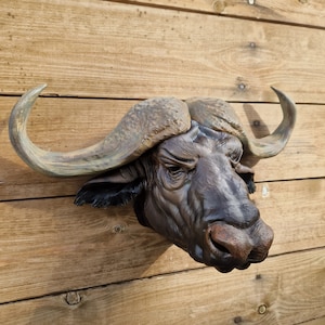 Cape Buffalo Wandkunst - Airbrushed und gemalt Tier Wandkunst - 3D Gedruckt - Wohnkultur - Wandhalterung - Kundenspezifische Farben möglich