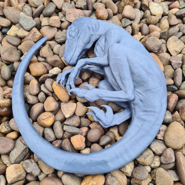 Sleeping baby Velociraptor Art - Dinosaur - 3D Printed - Multiple Colours Available