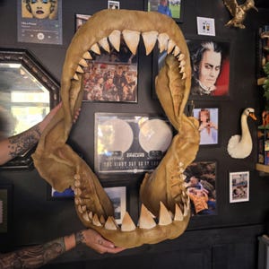 Grande mâchoire de requin - taxidermie artificielle peinte à la main - Imprimé en 3D