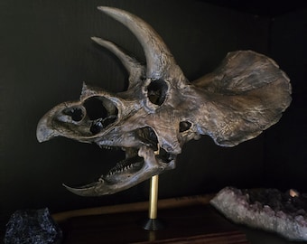 il_340x270.6284701257_qa72.jpg