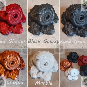 Peut inclure: Dix r&eacute;pliques de fossiles d'ammonites de diff&eacute;rentes couleurs. Les couleurs comprennent le rouge paillet&eacute;, le noir galaxie, le noir granite, le cuivre, le marbre, le blanc, le noir, le rouge et l'orange. Les ammonites sont toutes de la m&ecirc;me taille et de la m&ecirc;me forme, et elles sont toutes pos&eacute;es sur un fond blanc.