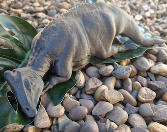 Sleeping Baby Velociraptor Art Dinosaur 3D Printed Multiple Colours ...