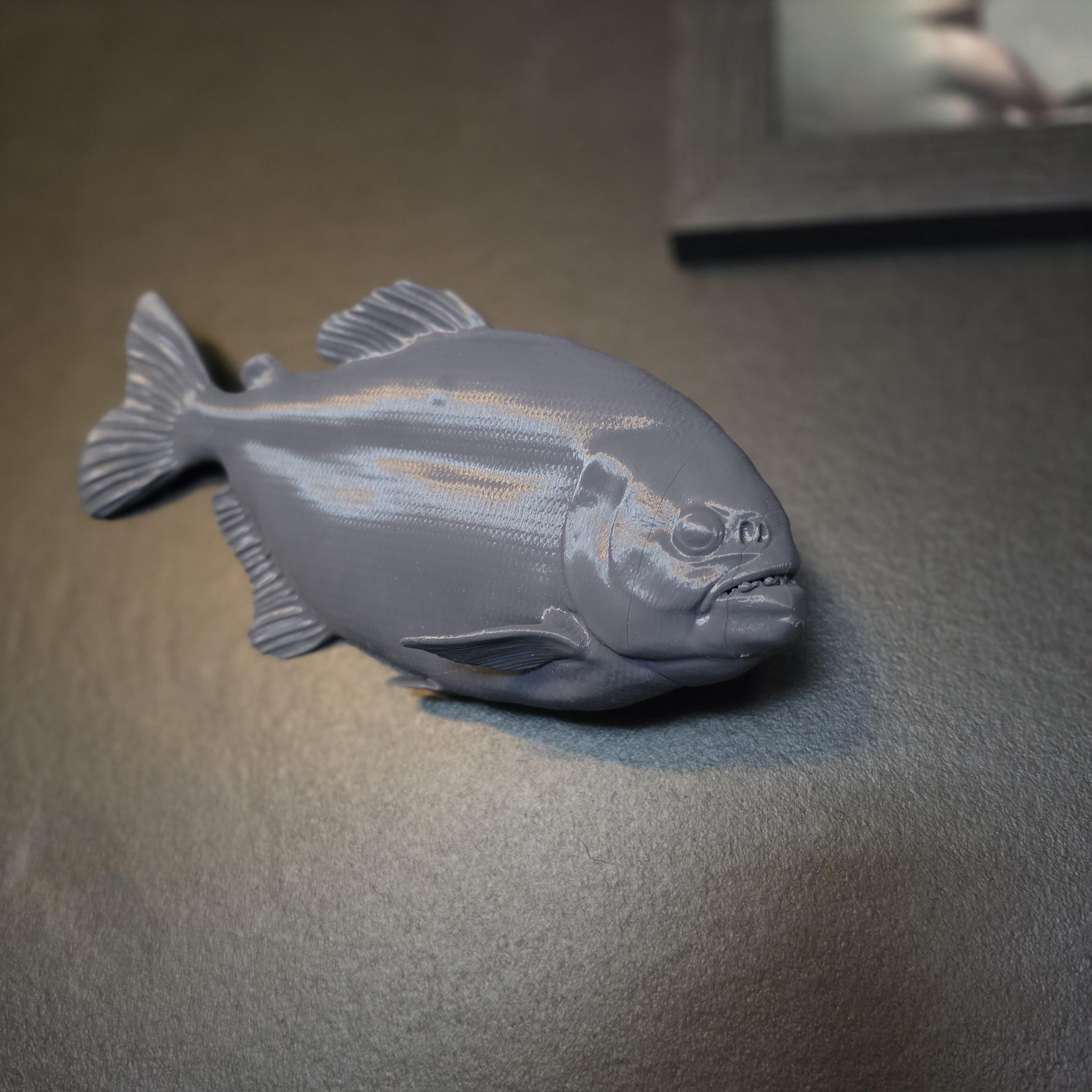 Piranha fish taxidermy - Etsy 日本