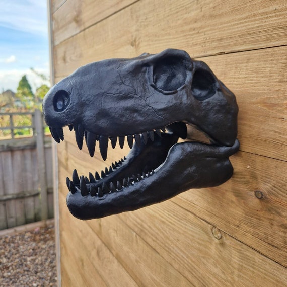 Dimetrodon Skull Art - Dinosaur Wall Mount - 3D Printed - Etsy