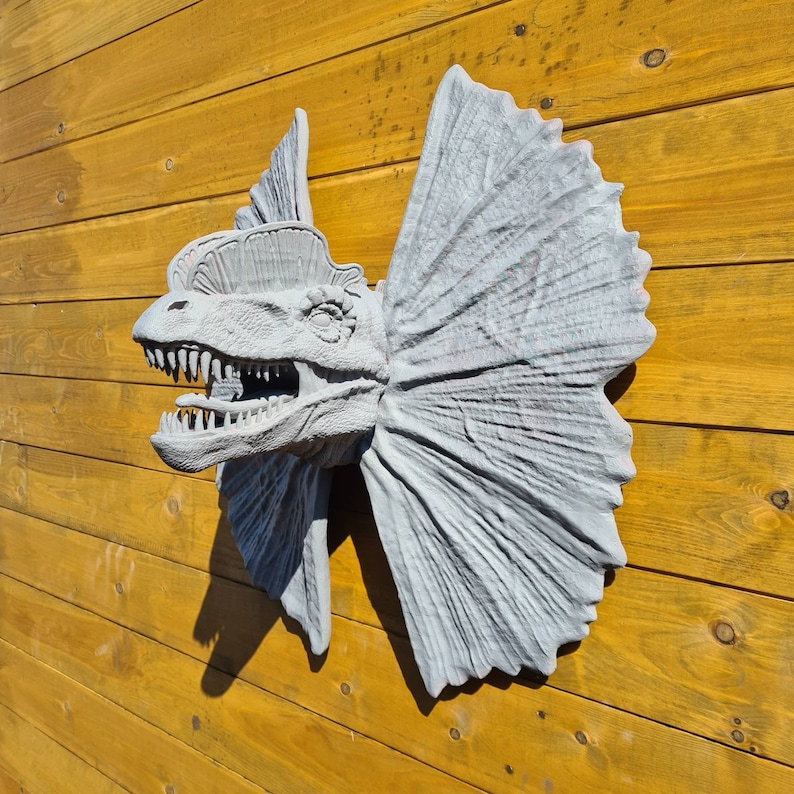 Dilophosaurus Head Wall Art Dinosaur Wall Mount 3D Printed Multiple Colours Available image 4