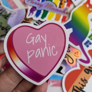 May include: A pink heart-shaped sticker with a white outline and a rainbow gradient on the left side. The sticker says "gay panic" in white text.