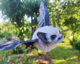 Murciélagos jóvenes - Murciélago joven - Muñeca artística