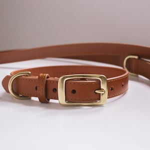 Handmade stitched genuine full grain tan leather dog collar with solid brass hardware and optional antler charm