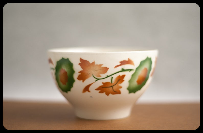 patterns flowers fall collection coffee Bowl 70/'s kitchen ceramic Portuguese SACAV\u00c9M breakfast bowl stencil airbrush Vintage Bowl
