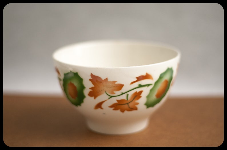 patterns flowers fall collection coffee Bowl 70/'s kitchen ceramic Portuguese SACAV\u00c9M breakfast bowl stencil airbrush Vintage Bowl
