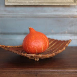 Può includere: Una zucca arancione brillante con un gambo è appoggiata su un vassoio di bambù. La zucca ha strisce verticali e si trova su una superficie di legno scuro. Il vassoio è marrone e a forma di foglia. Lo sfondo è una porta azzurra.