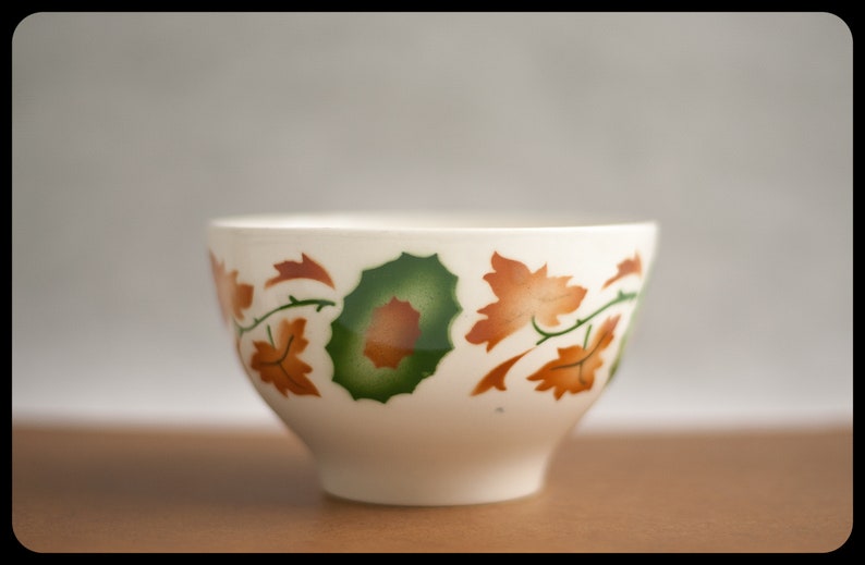patterns flowers fall collection coffee Bowl 70/'s kitchen ceramic Portuguese SACAV\u00c9M breakfast bowl stencil airbrush Vintage Bowl