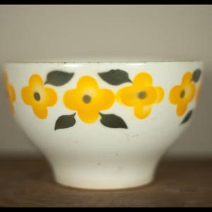 Peut inclure: Un bol en céramique blanche avec un motif floral. Le bol a des fleurs jaunes avec des feuilles vert foncé sur un fond blanc.
