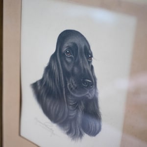 Setter dog painting, framed reproduction by Maurice Brailly print, interior decoration, print art, home decor