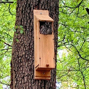 Screech Owls Cedar Owl House, Handmade Wooden Owl Nesting Box, Predator Safe Backyard Habitat, Weatherproof Shelter Box for Outdoors