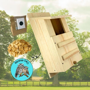 KingWood Premium Pine Owl House, Screech Owl Box For Outside, Garden Bird Habitat, DIY Gift For Family Time, Backyard Birding, Pest Control