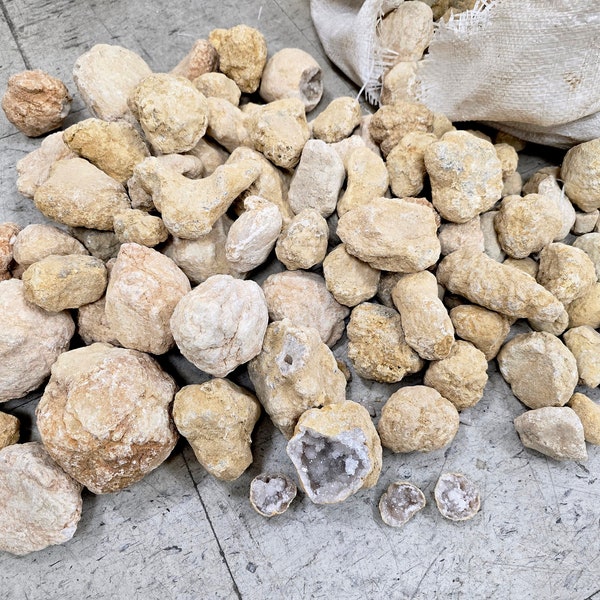 Break Your Own Geodes Unbroken Quartz Crystal Geode with Sparkly Crystals Inside