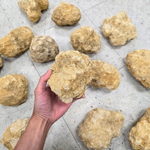 May include: A collection of beige and brown geode crystals of various sizes. The crystals are rough and have a natural, earthy appearance.