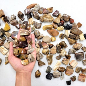 May include: A collection of polished petrified wood stones in various shades of brown, yellow, and red. The stones are smooth and have a natural, organic texture.