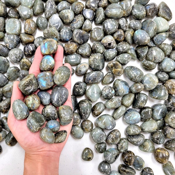 Tumbled Labradorite Stones - Bulk Labradorite Crystal Tumbles