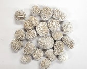 Desert Rose Crystal - Wholesale Bulk Crystals - Desert Rose Bud Selenite Love Stone Sand Rose