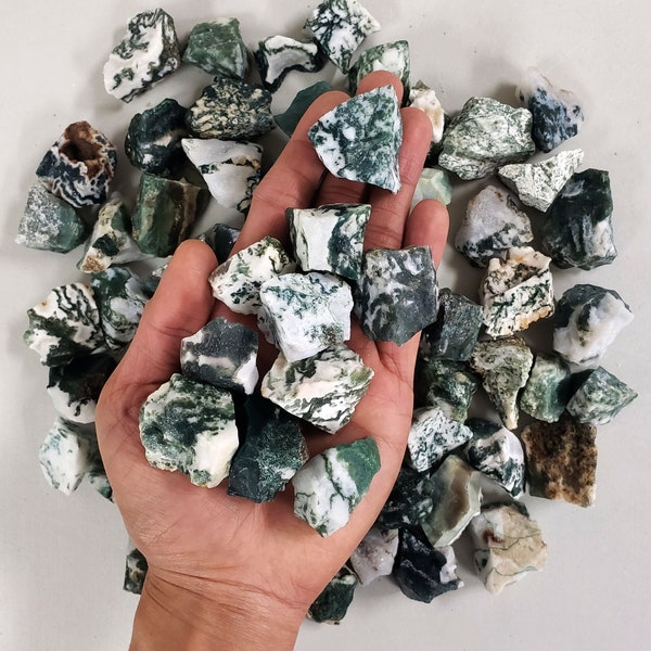 Tree Agate Crystal - 1" to 2" from India - Bulk Rough Crystal Stones for Tumbling, Cabbing, Jewelry Making & Crystal Healing