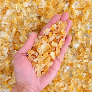 May include: A hand holding a pile of small, golden yellow, translucent, rough-cut, natural citrine crystals.